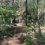 Lesna Holiday home Arciechow