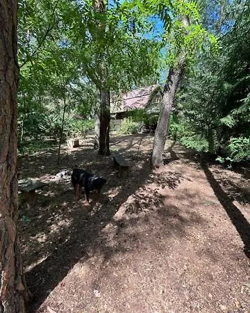 Holiday home Lesna *