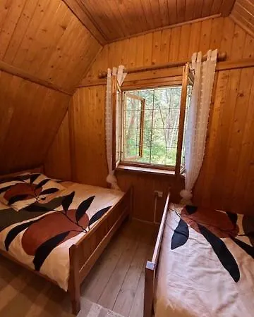 Lesna * Arciechow