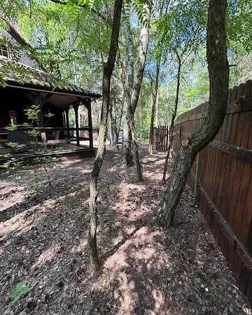 Lesna Holiday home Arciechow